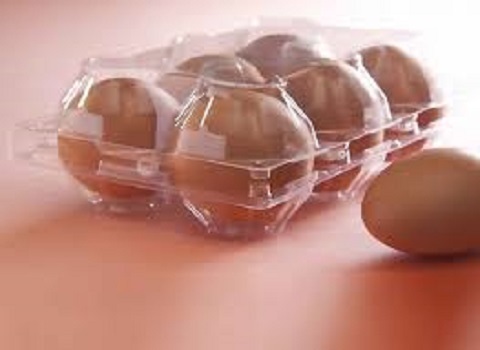 تصویر 5 از فروش شانه تخم مرغ پلاستیکی مشهد  + قیمت خرید به صرفه
